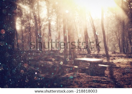 blurred abstract photo of light burst among trees and glitter. filtered image