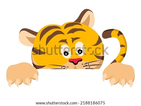 Funny cartoon a tiger peeking from behind the wall, vector illustration