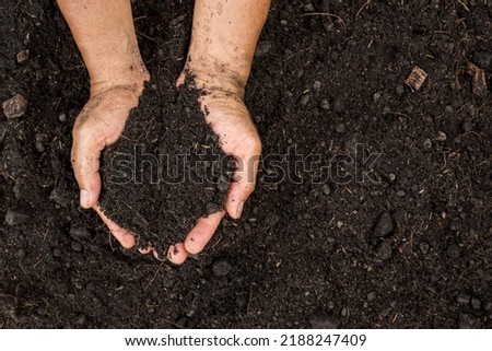 Closeup of Farmer holding fertilizer soil in the agricultural field. Fertilizer soil that is suitable for growing plants and accelerates plant growth. Concept of agriculture. Royalty-Free Stock Photo #2188247409