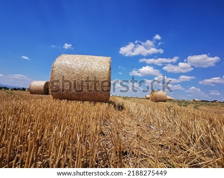 Round bales of straw rolled up on field. Beautiful countryside landscape under blue cloudy sky
