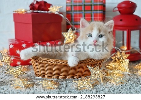 cute red fluffy kitten cat lies in a basket on the background of new year gifts christmas theme. High quality photo Royalty-Free Stock Photo #2188293827