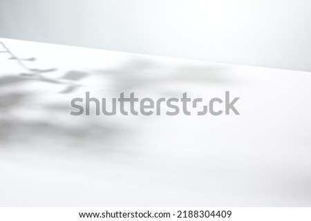 Light background with harsh shadows of tree branch. Aesthetic white background with empty place. Summer light backdrop. Nature and shadows mock up. Simple mockup. Poster presentation with shadows Royalty-Free Stock Photo #2188304409