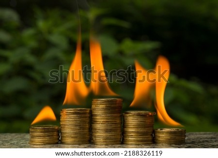 a group of coins in stacks in flames against the background of green plants in defocus close-up. bank cryptocurrency deposits saving capital financial risks blockchain concept