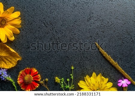 yellow flowers on a dark background. autumn background with empty space for inscription texts and titles of desktop postcards