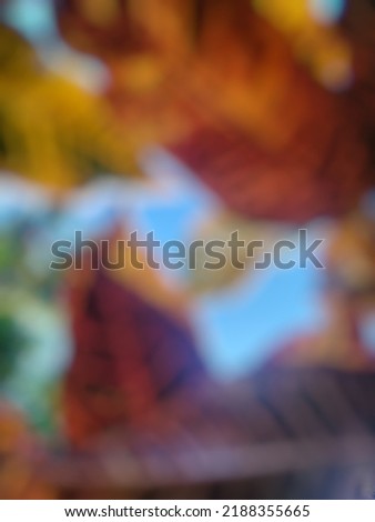 
abstract blur of colorfull leaf and sunlight background for design
