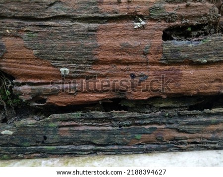 Weathered wood surface up close