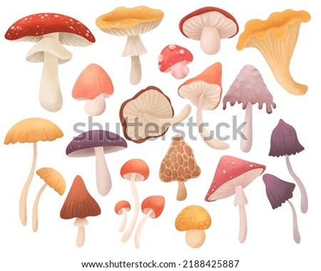 Cute mushroom set clip art, isolated on white background, suitable for prints, postcards, patterns, stickers, website elements