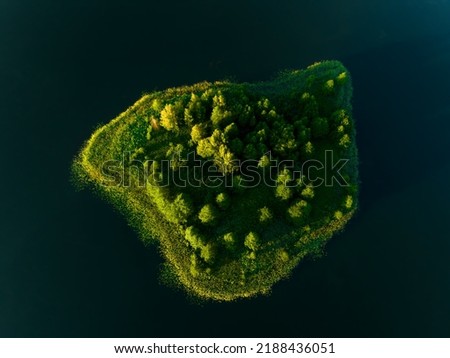 Desert island in sea. Island in lake. Island with forest in sea, aerial view. Green fir on coast ocean. Forest near water. Survival on uninhabited tropical island. Live on adventure of a lifetime. 