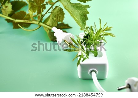 electric extension cord and electric plug with plants and flowers growing from them concept ecology green energy. High quality photo