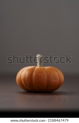 Cute orange pumpkin on wood table with copy space, shallow focus