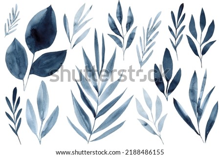 Dark blue tropical leaf on isolated white background, Set leaves, abstract watercolor clip art