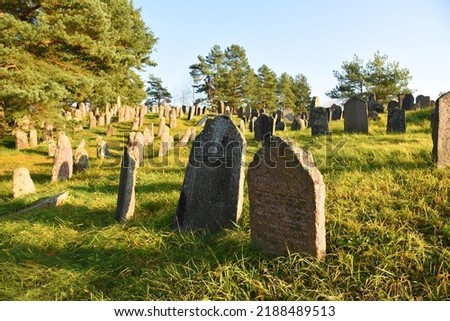Cemetery with graves and tombstones. Abandoned grave. Gravestone on graveyard in forest. Old tombstone in old Cemetery.  Royalty-Free Stock Photo #2188489513