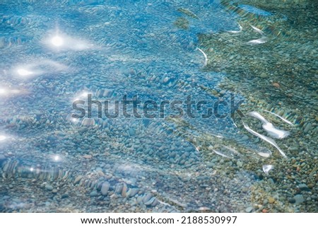 Waves on the seashore. A clear sunny day. Clear, clean sea water. Holidays on the coast. Natural background and texture.