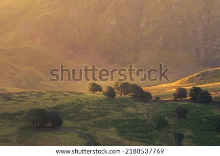 Beautiful morning sunlight shining on British countryside landscape with group of trees positioned on top of hill.  Royalty-Free Stock Photo #2188537769