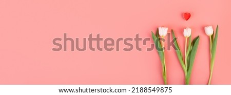White tulip flower with heart, side view. Beautiful three white tulip flower on stem with leaves isolated on pastel pink background. Naturе object for design to women's day, mother's day, anniversary