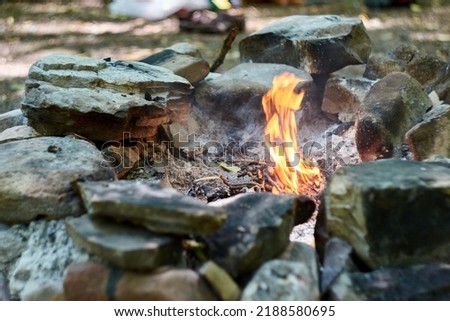 Bonfire in the forest, controlled fire.