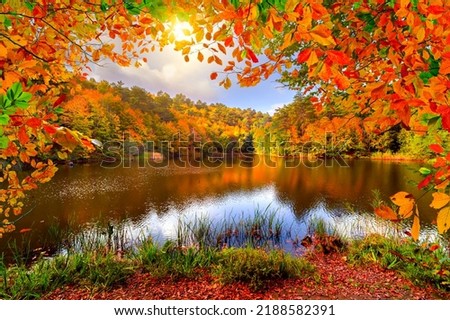 Autumn landscape in beautiful colorful nature. Forest landscape in colorful autumn season. Colorful lake scenery in the forest. Golden autumn leaves on beautiful lake.