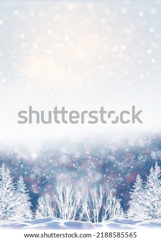 Frozen winter forest with snow covered trees. outdoor. Greeting card.