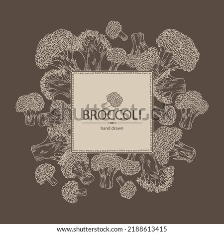 Background with broccoli: full broccoli, piece and broccoli inflorescence. Vector hand drawn illustration. Royalty-Free Stock Photo #2188613415