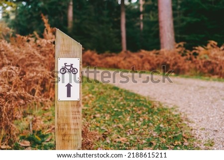 Signpost biking trails with arrow driving direction of the road. Wooden sign in the autumn forest with empty path. Selective focus, copy space.