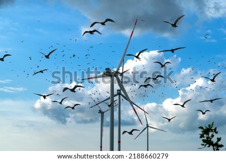 Symbolic image: birds flying near wind turbines. Protection of the environment, wind turbines can kill birds Royalty-Free Stock Photo #2188660279