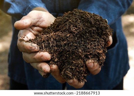 Closeup of Farmer holding fertilizer soil in the agricultural field. Fertilizer soil that is suitable for growing plants and accelerates plant growth. Concept of agriculture. Royalty-Free Stock Photo #2188667913