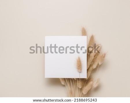 Blank paper card on dry lagurus grass top view, flat lay. Minimal aesthetic background card for greeting, invitation, business brand and social media. Neutral beige colors