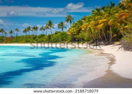 Tropical paradise: idyllic caribbean beach with palm trees, Punta Cana, Dominican Republic Royalty-Free Stock Photo #2188718079