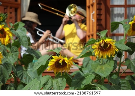 Huge sunflowers in front of a wooden house with a man and a woman in the window with a musical instrument playing trumpet and trombone.The concept of summer leisure and entertainment