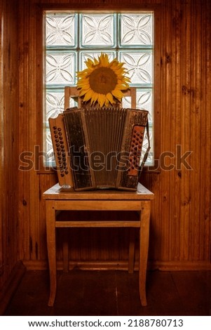 Still life with an old accordion on a chair and a sunflower