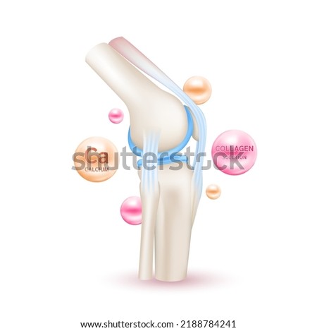 Skeleton x ray scan healthy joint bone anatomy. Vitamin Collagen and Minerals Calcium help heal arthritis knee. Medical or healthcare concept. Isolated on white background realistic 3d vector. Royalty-Free Stock Photo #2188784241