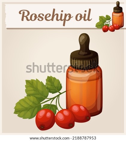 Rosehip oil and berries in bottle illustration. Essential oil cartoon icon