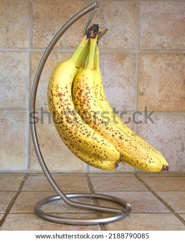 Over ripe bunch of bananas hanging from kitchen stand on brown tile counter with tile background.