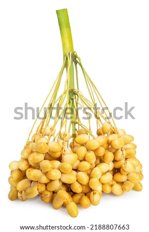 Bunch of Yellow date palm isolated on white background, Yellow date palm on white With work path. Royalty-Free Stock Photo #2188807663