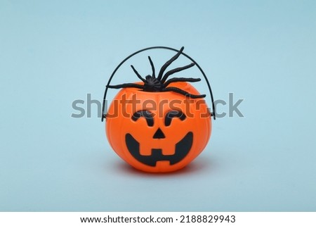 Halloween pumpkins orange candy bucket with spider on blue background. Trick or Treat