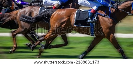 Symbol image: Horse racing (Gallop)