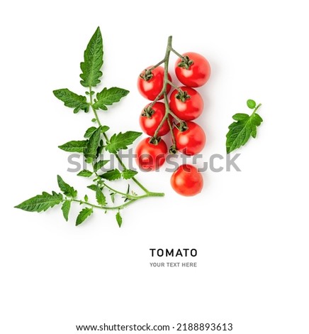 Tomato and leaf isolated on white background. Food, healthy eating and dieting concept. Summer red cherry tomatoes vine arrangement and layout
 Royalty-Free Stock Photo #2188893613
