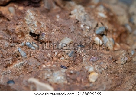 Close up image of stone wall, macro photography