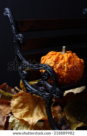 Autumn mini pumpkin on small bench over black
