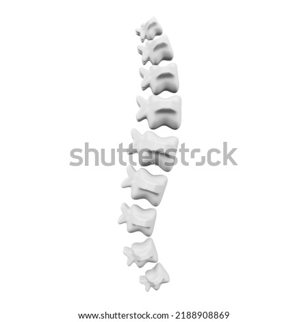 Spine 3D rendering isometric icon.