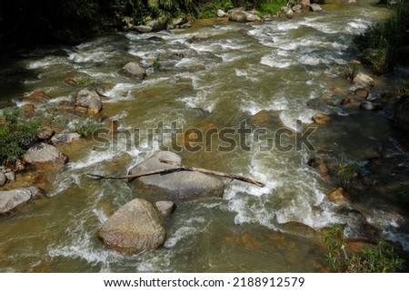 Twig on the rock between rapid stream at canal surrounded with tropical forest in Thailand. 