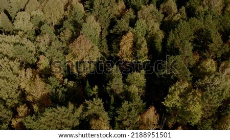 Closeup of colorful autumn forest in Ural, Russia. Beautiful autumn nature landscape at during daytime. Aerial view from a drone