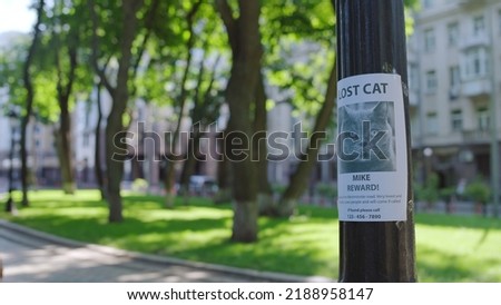 Lost cat, poster with missing pet picture hanging on tree, owners looking for pet