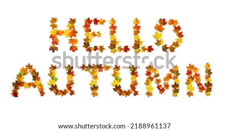 Hello autumn lettering text from of colorful autumnal maple leaves on white background. Top view, flat lay