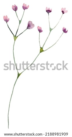 Light purple watercolor wildflowers and leaves illustration, isolated. Pastel Floral element for summer wedding stationery and greetings cards Royalty-Free Stock Photo #2188981909