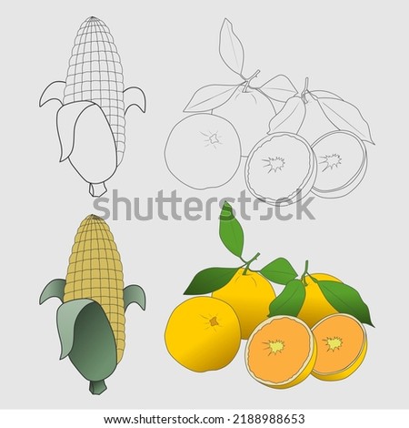 coloring pictures of corn and oranges with examples