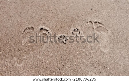 Family Footprints in the sand, including the dogs paw prints