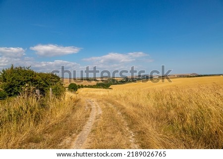 A pathway alongside farmland in the South Downs, on a hot summer's day Royalty-Free Stock Photo #2189026765