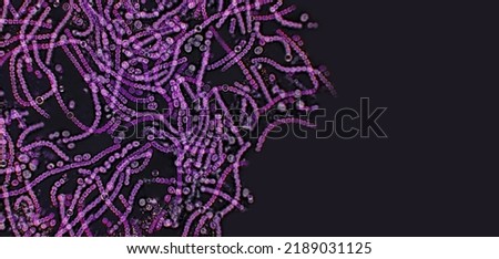 Probiotics, lactic acid bacteria on black background. Bacteria and microorganisms. Microscopic probiotics, bacterial flora Royalty-Free Stock Photo #2189031125