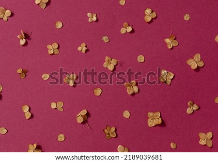 Dried autumn small hydrangea flowers on the purlpe background seamless pattern. Top view. 	